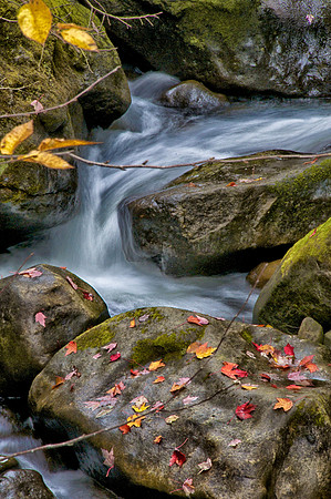 Vermont