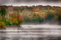Misty Morning
