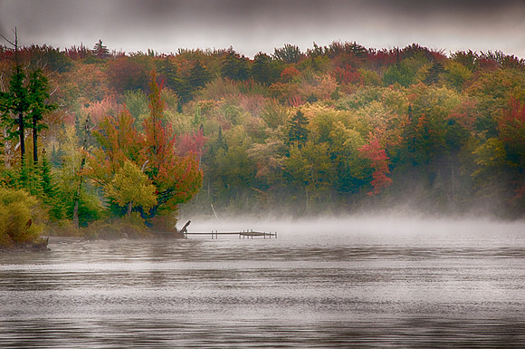 Misty Morning