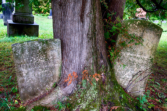 Trunk Stones
