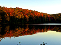 Calm Reflection