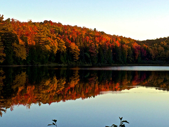 Calm Reflection