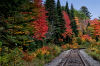 Along the Tracks