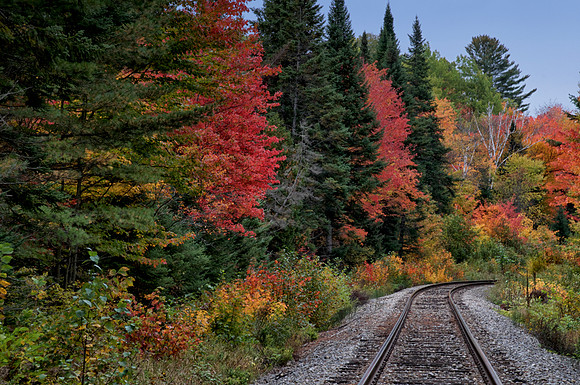 Along the Tracks